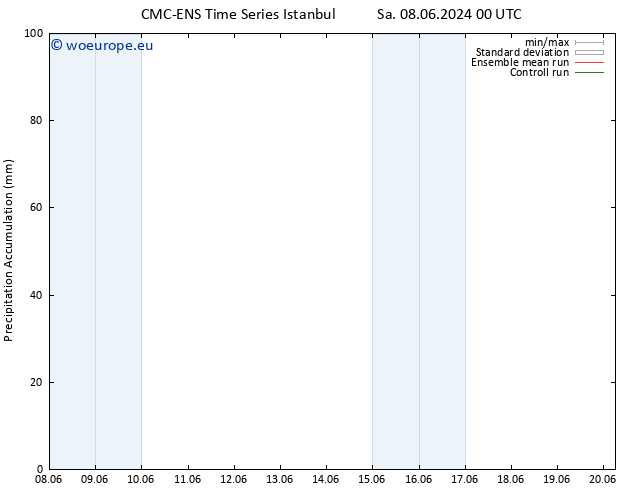 Precipitation accum. CMC TS Tu 11.06.2024 00 UTC