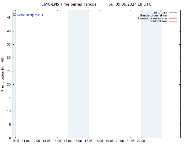 Precipitation CMC TS Su 09.06.2024 18 UTC