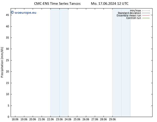 Precipitation CMC TS Mo 24.06.2024 00 UTC