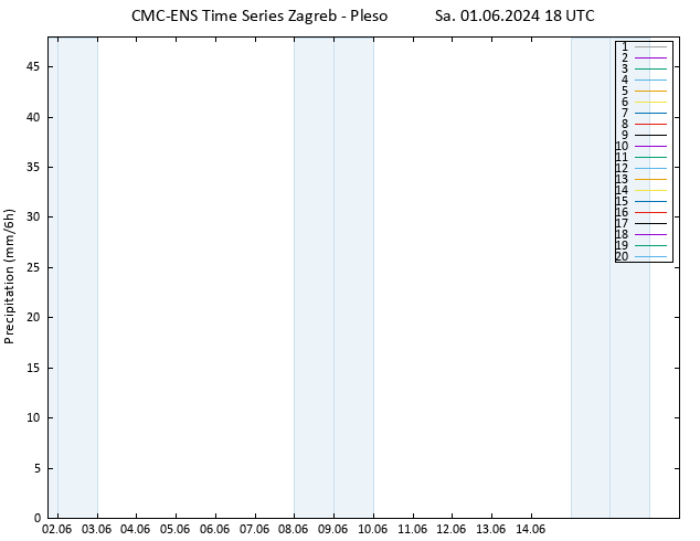 Precipitation CMC TS Sa 01.06.2024 18 UTC