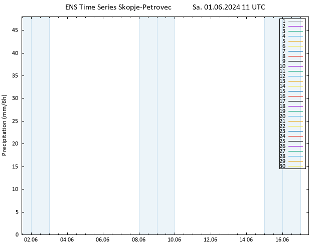 Precipitation GEFS TS Sa 01.06.2024 17 UTC