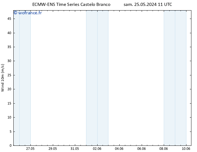 Vent 10 m ALL TS sam 25.05.2024 11 UTC