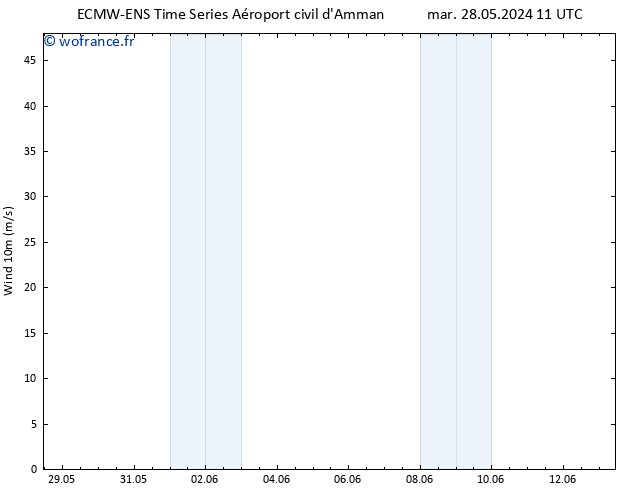 Vent 10 m ALL TS ven 31.05.2024 11 UTC