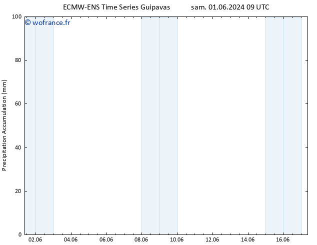Précipitation accum. ALL TS dim 02.06.2024 09 UTC