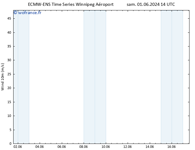 Vent 10 m ALL TS dim 02.06.2024 02 UTC