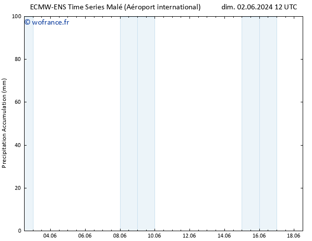 Précipitation accum. ALL TS mar 04.06.2024 12 UTC