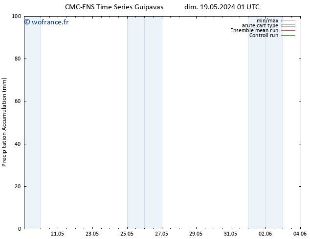 Précipitation accum. CMC TS dim 26.05.2024 13 UTC