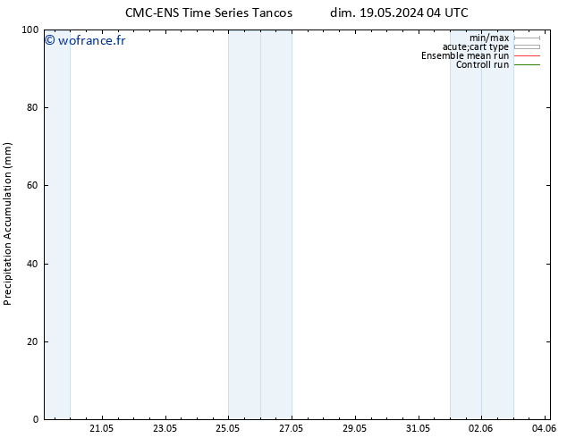 Précipitation accum. CMC TS dim 19.05.2024 16 UTC