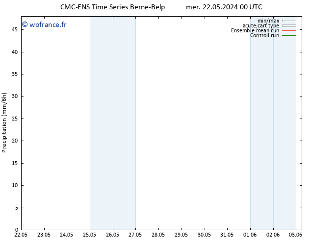 Précipitation CMC TS mer 22.05.2024 12 UTC