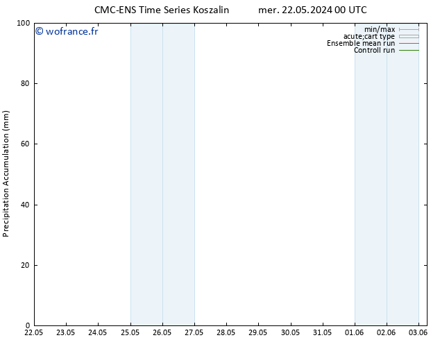 Précipitation accum. CMC TS mer 22.05.2024 00 UTC