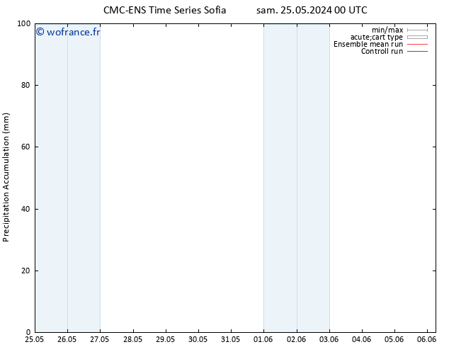 Précipitation accum. CMC TS sam 25.05.2024 00 UTC