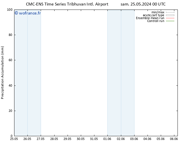 Précipitation accum. CMC TS mer 29.05.2024 18 UTC