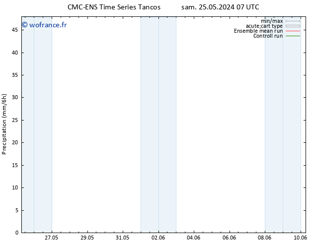 Précipitation CMC TS sam 25.05.2024 13 UTC