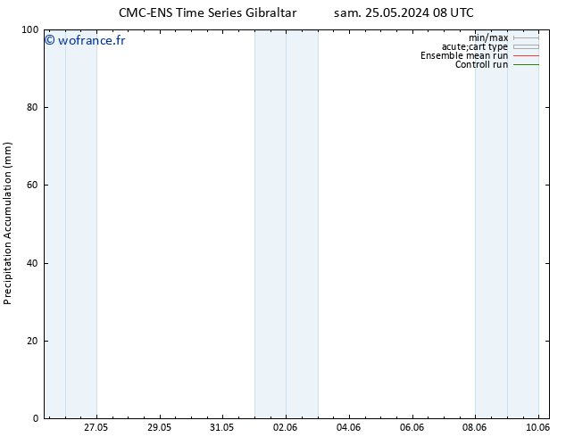 Précipitation accum. CMC TS mer 29.05.2024 20 UTC