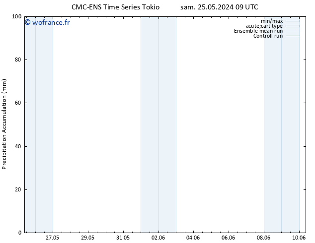 Précipitation accum. CMC TS jeu 30.05.2024 03 UTC