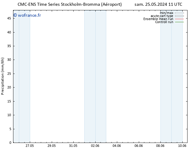 Précipitation CMC TS sam 25.05.2024 17 UTC