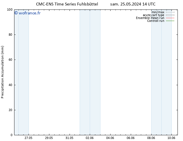 Précipitation accum. CMC TS sam 25.05.2024 14 UTC