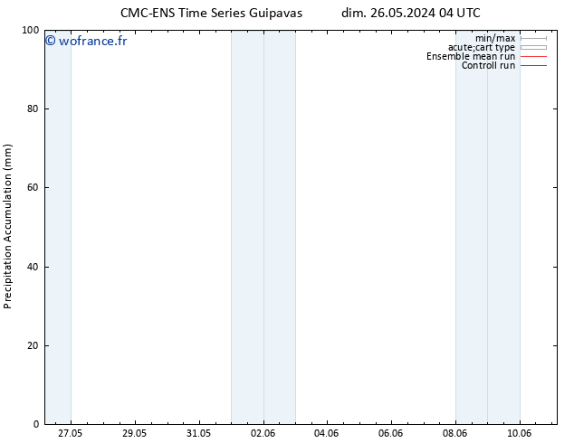 Précipitation accum. CMC TS mar 28.05.2024 10 UTC