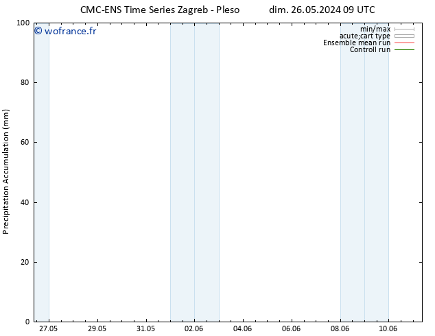 Précipitation accum. CMC TS ven 07.06.2024 15 UTC