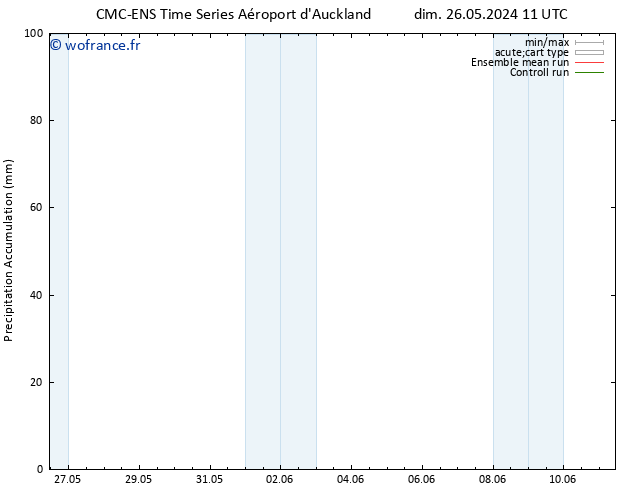 Précipitation accum. CMC TS dim 02.06.2024 11 UTC