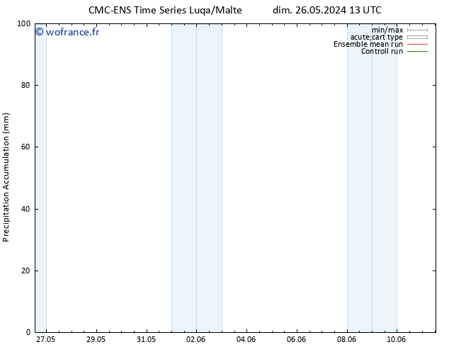 Précipitation accum. CMC TS sam 01.06.2024 13 UTC