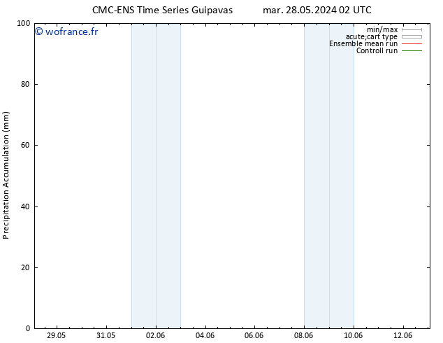Précipitation accum. CMC TS mar 04.06.2024 14 UTC