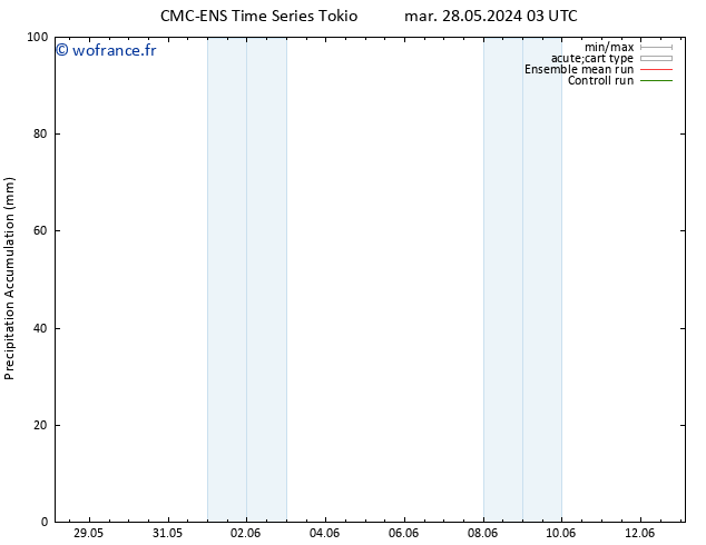 Précipitation accum. CMC TS mar 04.06.2024 15 UTC