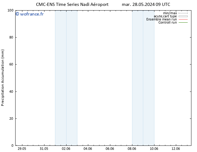 Précipitation accum. CMC TS mar 04.06.2024 03 UTC