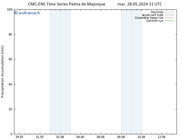 Précipitation accum. CMC TS mar 28.05.2024 17 UTC