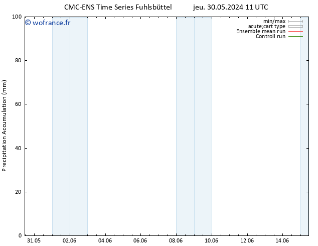 Précipitation accum. CMC TS mar 11.06.2024 17 UTC