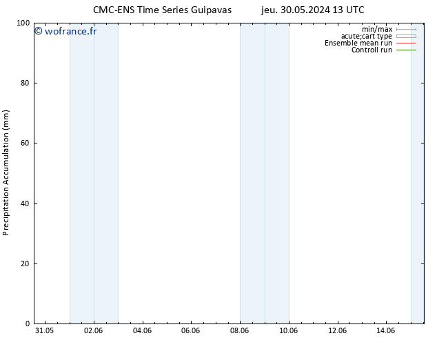 Précipitation accum. CMC TS ven 31.05.2024 13 UTC