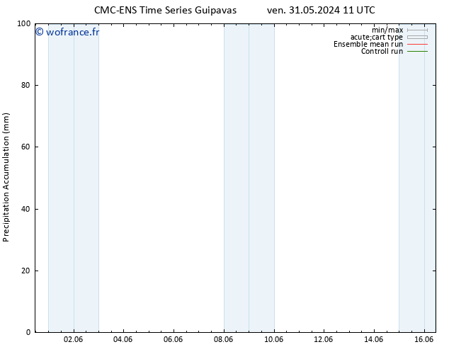 Précipitation accum. CMC TS ven 07.06.2024 17 UTC