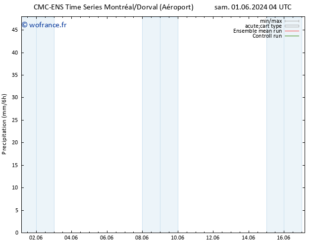 Précipitation CMC TS sam 01.06.2024 16 UTC