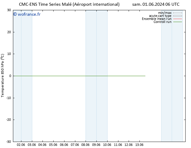 Temp. 850 hPa CMC TS sam 01.06.2024 06 UTC