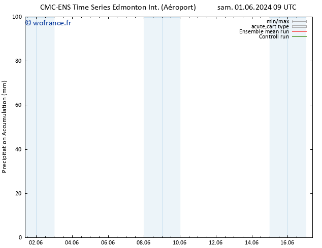 Précipitation accum. CMC TS dim 02.06.2024 09 UTC