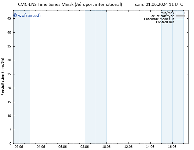 Précipitation CMC TS dim 02.06.2024 23 UTC