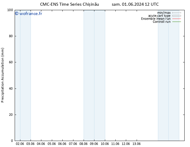 Précipitation accum. CMC TS lun 03.06.2024 12 UTC