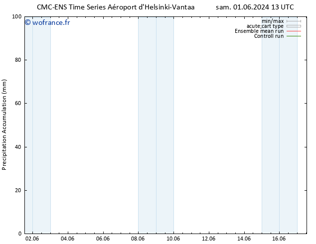 Précipitation accum. CMC TS lun 03.06.2024 13 UTC