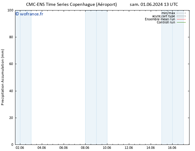 Précipitation accum. CMC TS lun 03.06.2024 13 UTC