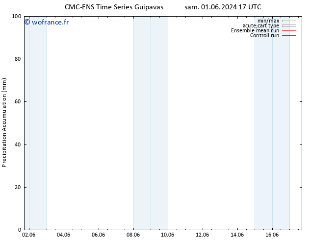Précipitation accum. CMC TS lun 03.06.2024 17 UTC