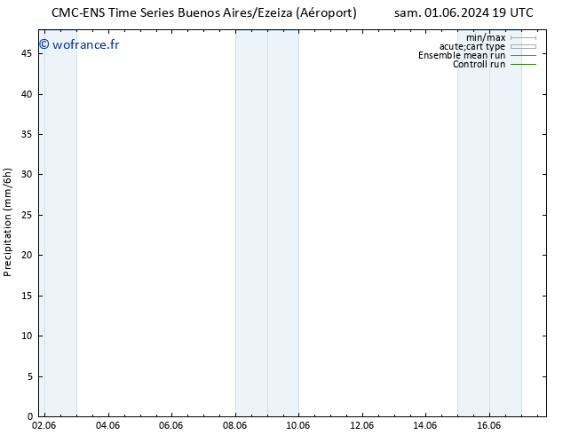 Précipitation CMC TS sam 01.06.2024 19 UTC