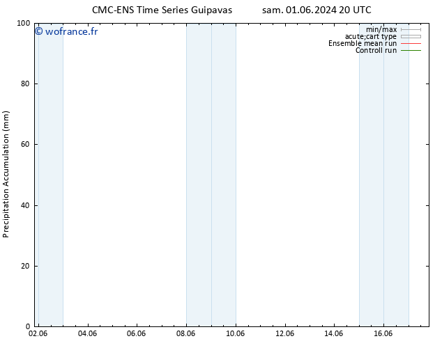 Précipitation accum. CMC TS ven 14.06.2024 02 UTC