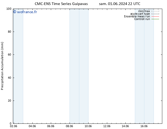 Précipitation accum. CMC TS jeu 13.06.2024 22 UTC