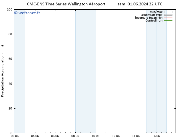 Précipitation accum. CMC TS ven 07.06.2024 10 UTC