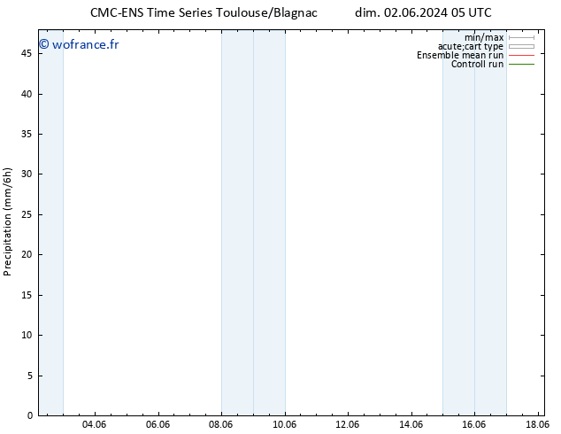 Précipitation CMC TS dim 09.06.2024 05 UTC