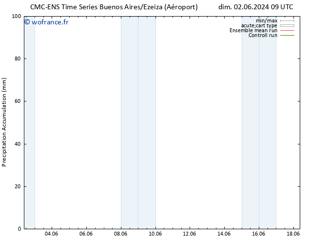 Précipitation accum. CMC TS lun 10.06.2024 09 UTC