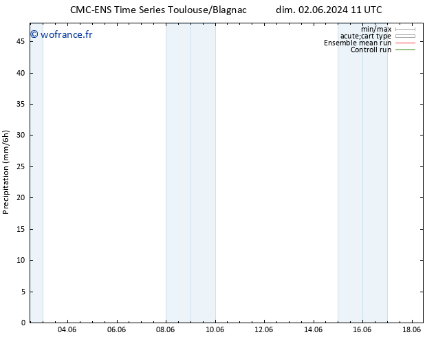 Précipitation CMC TS dim 09.06.2024 11 UTC