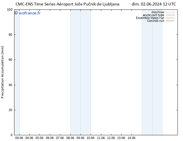 Précipitation accum. CMC TS dim 02.06.2024 18 UTC