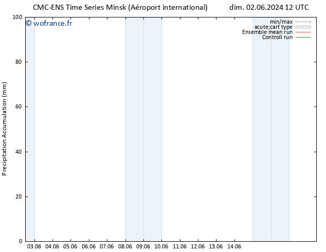 Précipitation accum. CMC TS dim 02.06.2024 18 UTC