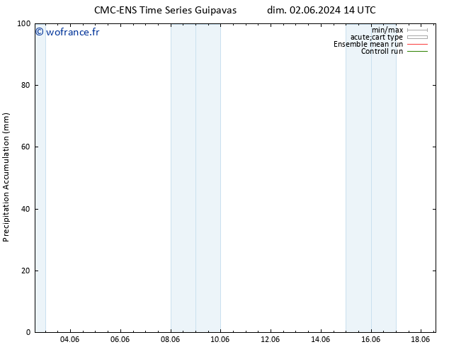 Précipitation accum. CMC TS ven 07.06.2024 08 UTC